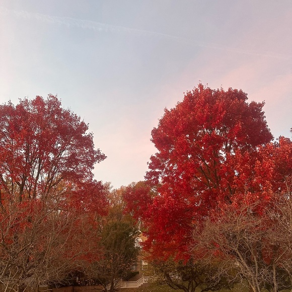 Meet your Posher, Emilie - Picture 1 of 1